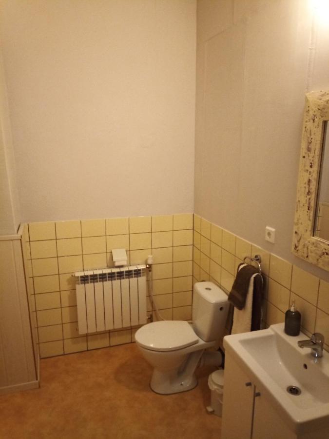 Zur Friedrichsruh Bed & Breakfast Oelsnitz  ภายนอก รูปภาพ