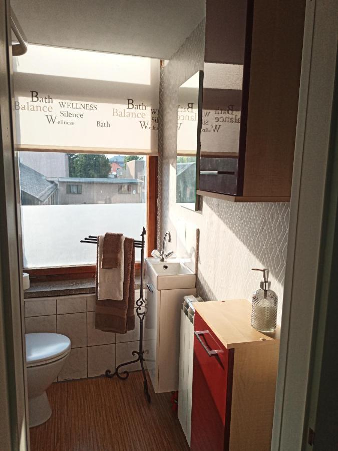 Zur Friedrichsruh Bed & Breakfast Oelsnitz  ภายนอก รูปภาพ
