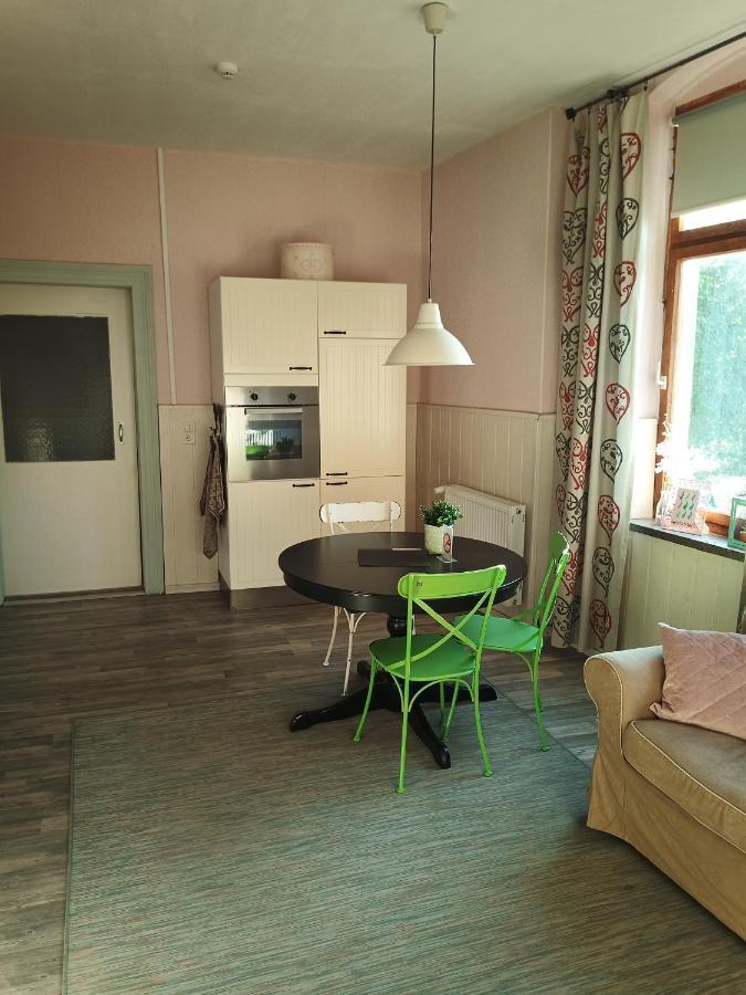Zur Friedrichsruh Bed & Breakfast Oelsnitz  ภายนอก รูปภาพ
